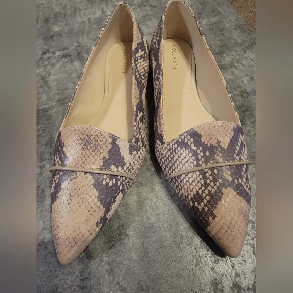 Cole Haan Women's Ellora Skimmer Ballet Flat NWOT 6B - Picture 2 of 6